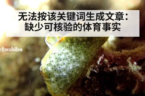 无法按该关键词生成文章：缺少可核验的体育事实